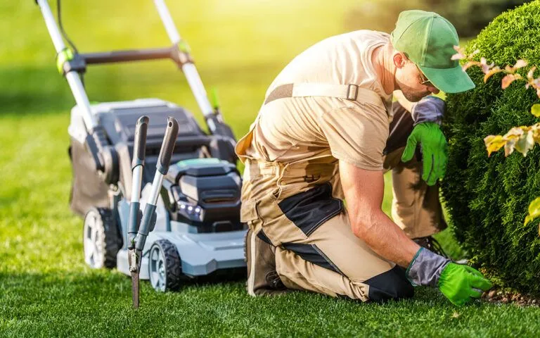 Lawn Care